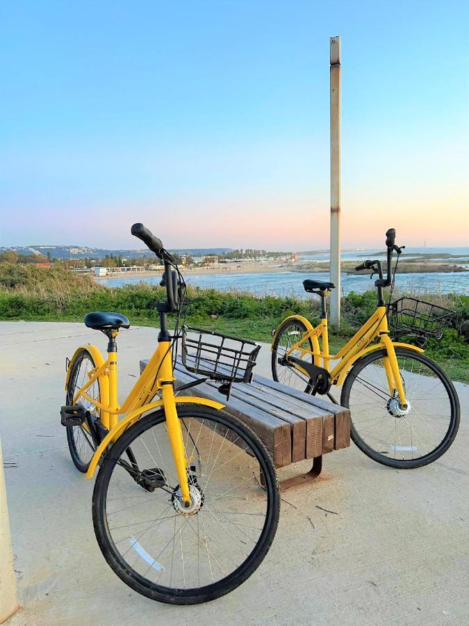 Nachsholim Kibbutz Country Lodging Nahsholim Luaran gambar